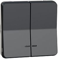 Выключатель самовозвратный с подсветкой без рамки Schneider Electric Mureva Styl 2-кл. IP55 антрацит картинка